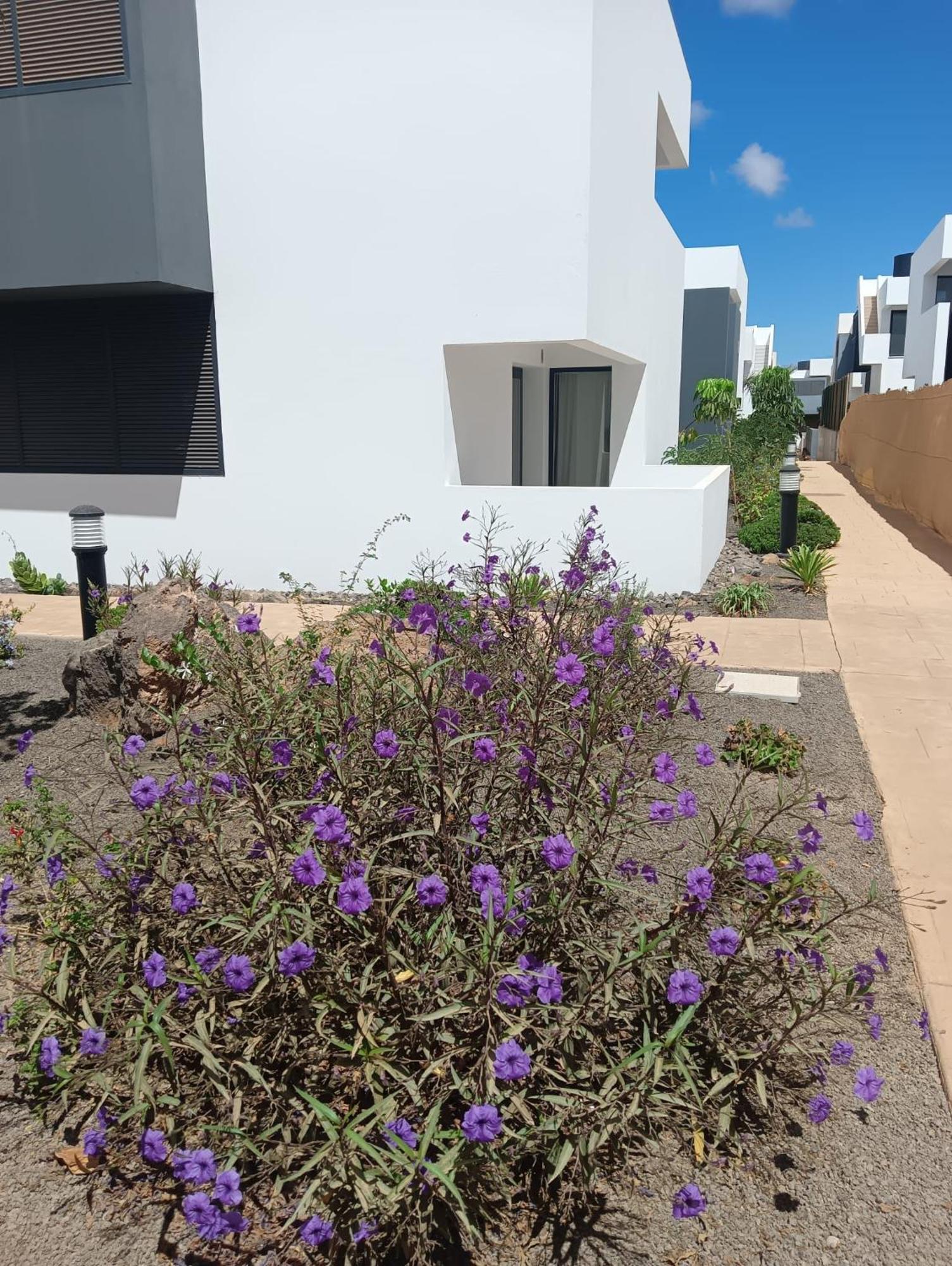 Ferienwohnung Aulaga Villaverde  Exterior foto